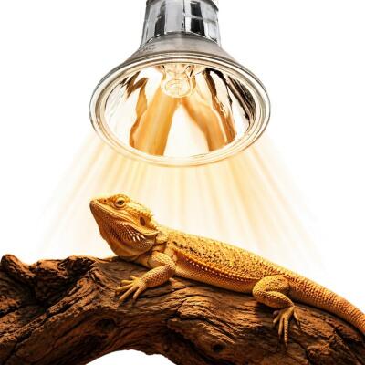 Галогенна лампа UVA Terrario Nadara Pro 50W E27 для тераріуму
