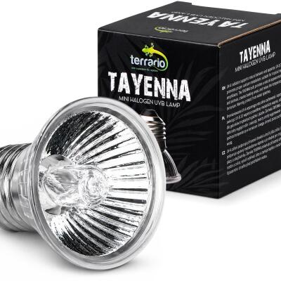 Лампа для тераріуму Terrario Tayenna 25W UVB 3.0 E27 для тропічних рептилій та амфібій