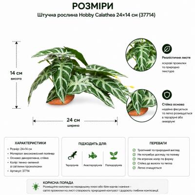 Штучна рослина Hobby Calathea 1 24×14 см (37714) для тераріуму, акватераріуму та палюдаріуму