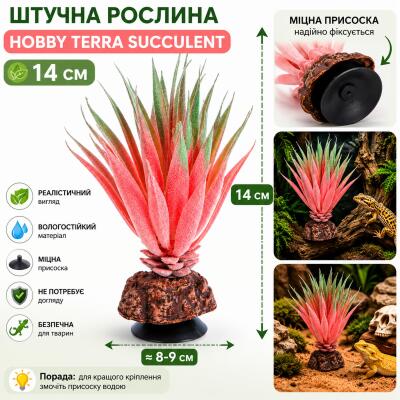 Штучна рослина Hobby Terra Succulent 1 14 см (37730) для тераріуму, акватераріуму та палюдаріуму