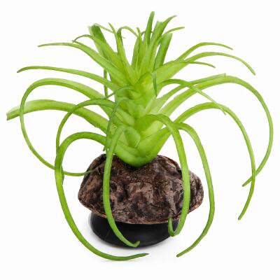 Штучна рослина Hobby Terra Succulent 5 8 см (37734) для тераріуму, акватераріуму та палюдаріуму