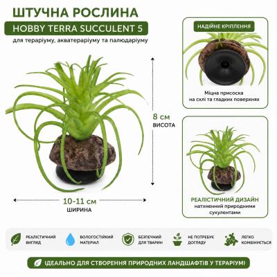 Штучна рослина Hobby Terra Succulent 5 8 см (37734) для тераріуму, акватераріуму та палюдаріуму