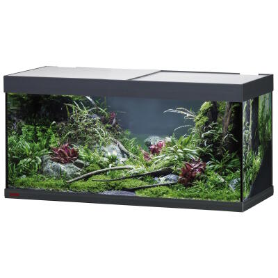 Аквариум Eheim vivaline LED 180 1x13.4W (LED) антрацитовый без тумбы (0613059)