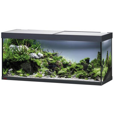 Акваріум Eheim vivaline LED 240 1x16.3W (LED) антрацитовий без тумби (0613079)