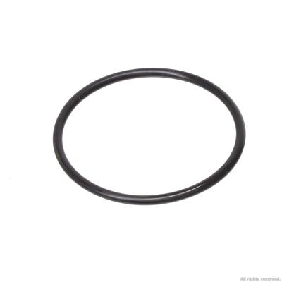 Ущільнююче кільце для Eheim universal 300 (1046) (7263550)