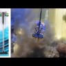 Насадка сачок трикутна для Eheim rapidCleaner - fish net 10x10x10см (3591013)