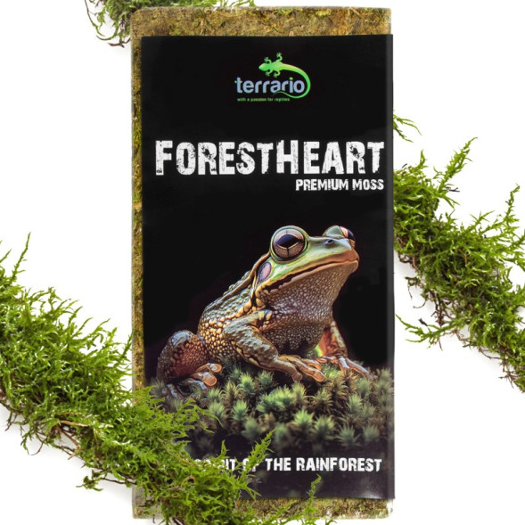 Натуральний мох торф’яний Terrario ForestHeart Sphagnum Moss 100г для тераріумів та орхідей