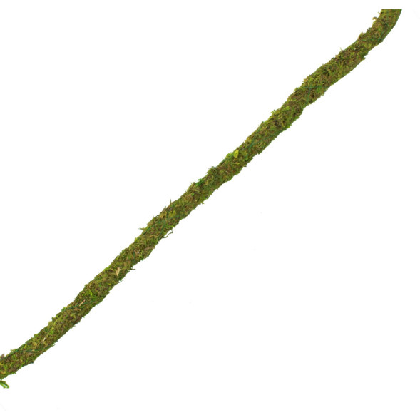 Ліана гнучка з натуральним мохом для тераріуму Repti-Zoo Artificial Moss Vine 1,5см x 2м (RV0215)