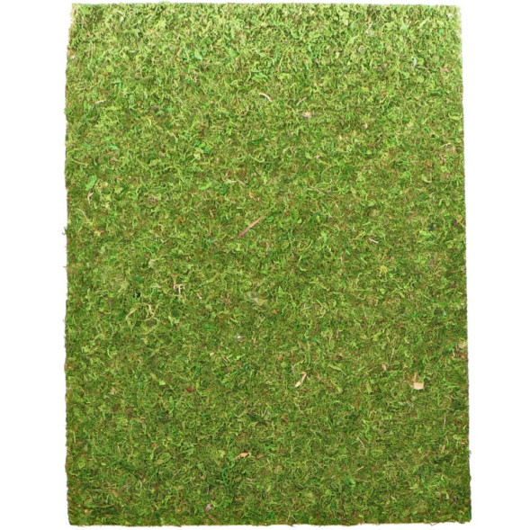 Фон з натурального моху Repti-Zoo Natural Moss Back &amp; Bottom 20x30см 2 шт (NCM3020) для тераріуму