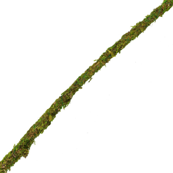 Ліана гнучка з натуральним мохом для тераріуму Repti-Zoo Artificial Moss Vine 2см x 2м (RV0220)